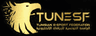Tunisia Esports Federation