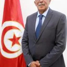 Wajdi Hedhili